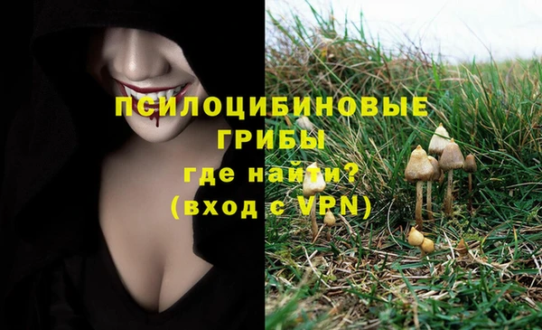 ALPHA-PVP Верея