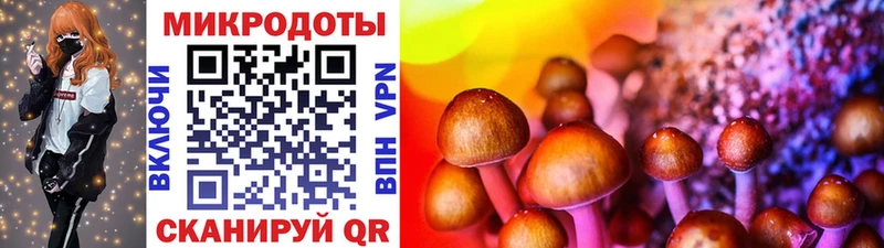 Галлюциногенные грибы Psilocybine cubensis Купить Алапаевск